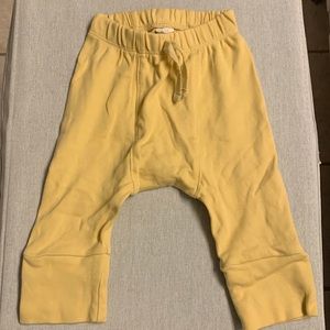 Kate quinn panda pants